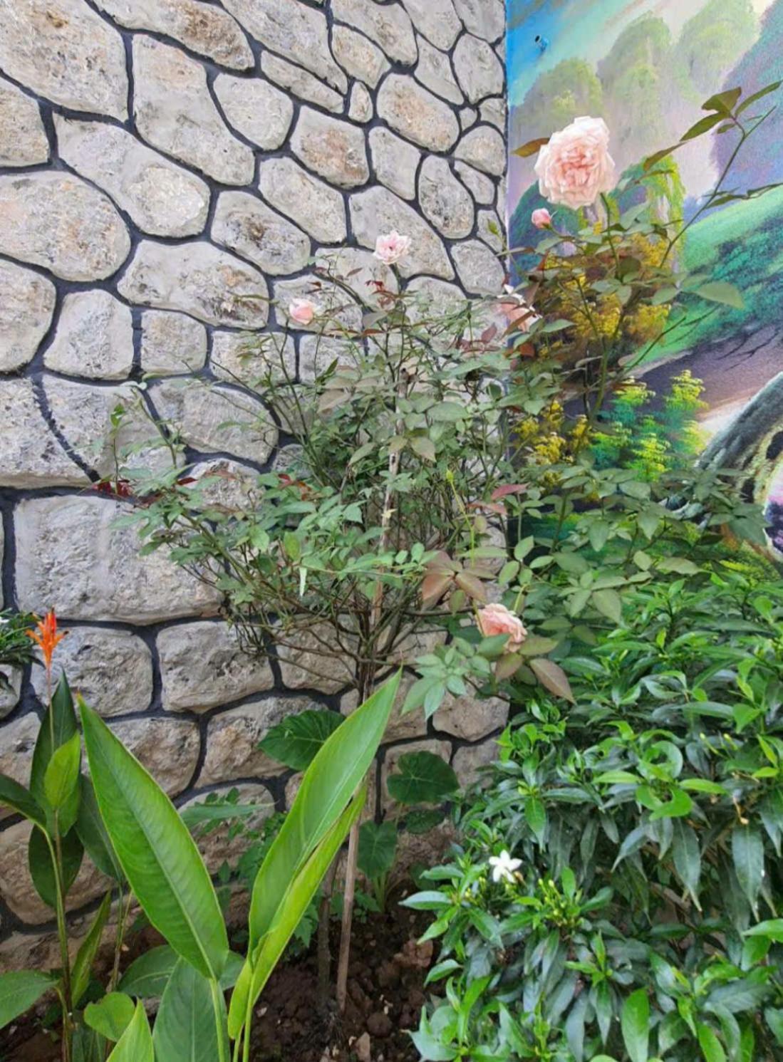 Trang An Hana Homestay Nguyen Ngoai Exteriér fotografie