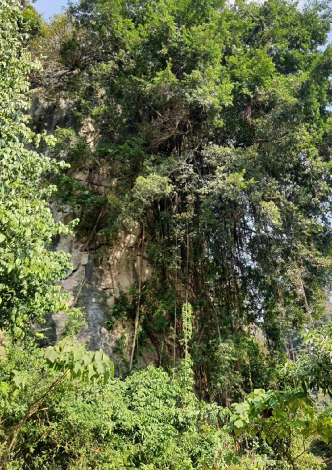 Trang An Hana Homestay Nguyen Ngoai Exteriér fotografie