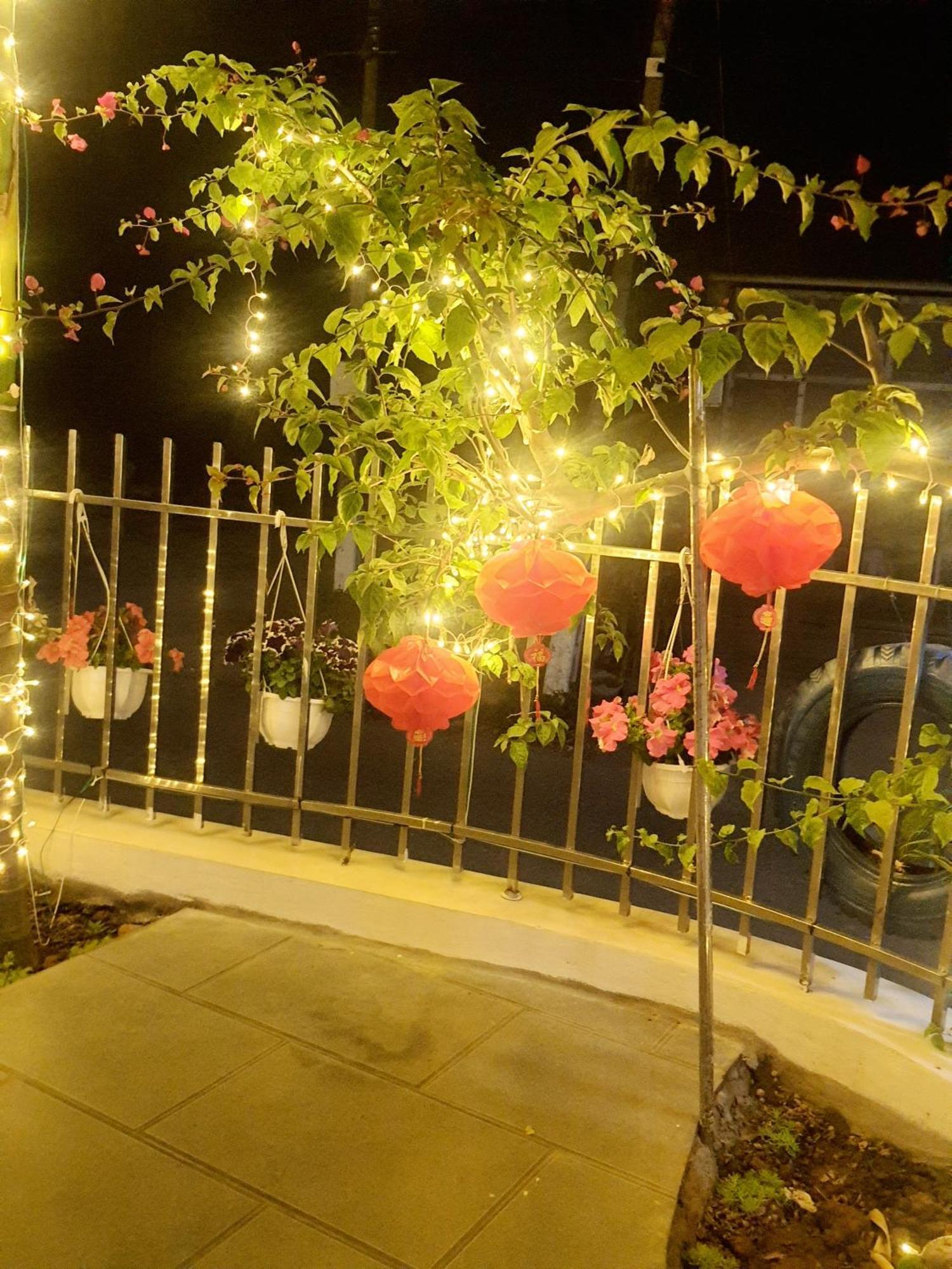 Trang An Hana Homestay Nguyen Ngoai Exteriér fotografie